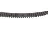 Комплект ГРМ Skoda Octavia/Audi A3/A4/A6/VW Golf/Sharan IV 1.8T 96-10 (23x150z) BOSCH 1987948170 (фото 10)