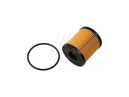 Фильтр масляный CITROEN BERLINGO 96-08, FIAT SCUDO 07-16, FORD TRANSIT 06-14 FAST FT38074