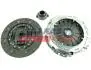 Комплект зчеплення з вижимним D=250 Citroen Jumper 02-, Peugeot Boxer 02- FAST FT64139 (фото 1)