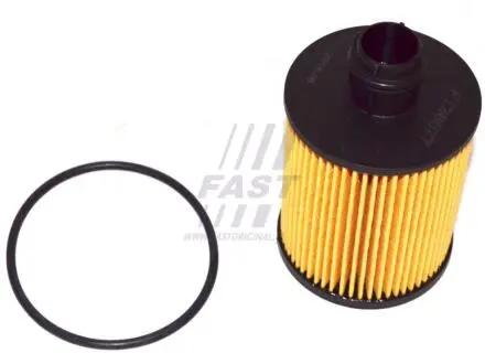 Фильтр масляный FIAT DOBLO 09-н.в., OPEL COMBO 11-18, SUZUKI SX-4 06-14 FAST FT38077