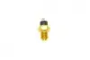 Датчик температури охолоджуючої рідини Citroen Jumper/Peugeot Boxer 2.8HDi 02- (2 конт) AUTOTECHTEILE 509 0503 (фото 9)