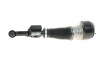 Амортизатор (передній) MB S-class (W221) 05-13 (R) BILSTEIN 44110475 (фото 1)