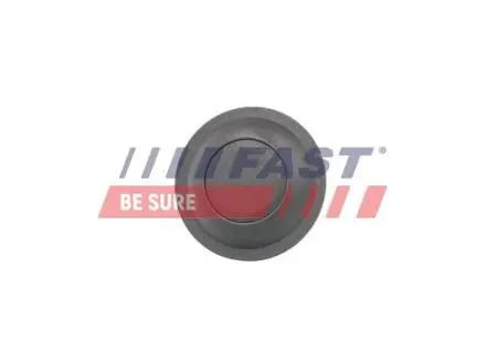 Кнопка открытия задней двери CITROEN Jumper 06-14;FIAT Ducato 06-н.в.;PEUGEOT Boxer 06-14 FAST FT95590