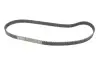 Комплект ГРМ + помпа Citroen Jumper/Peugeot Boxer 2.2 HDi 02- INA 530036830 (фото 4)