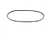 Ремінь генератора VW Caddy/Golf/Passat/Polo 1.4-2.0 91-02/Seat Alhambra/Ibiza 91-10 (755x11.5) Contitech 11,5X755Ld (фото 2)