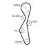 Комплект ГРМ Citroen Jumper/Jumpy/Peugeot Boxer/Expert 2.0 BlueHDi 15- Gates K025672XS (фото 2)