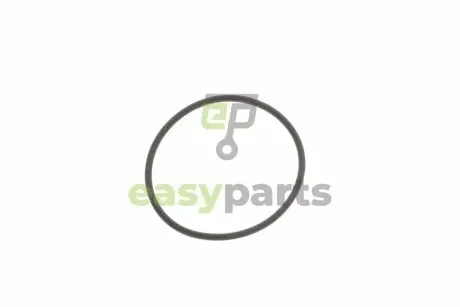 Прокладка термостата X5 (E53/E70) 4.4/4.8i (N62) 03-10 BMW 11667509080