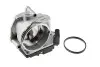 Дросельна заслонка Audi A3, Seat Cordoba, Ibiza, Leon, Skoda Octavia, Roomster 1.9/2.0 TDI 2005.06- Polcar E11-0012 (фото 1)