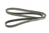 Ремінь генератора Mitsubishi Lancer VIII 1.8/2.0 08- (6PK2625) BOSCH 1987946075 (фото 2)