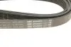 Ремінь генератора Mitsubishi Lancer VIII 1.8/2.0 08- (6PK2625) BOSCH 1987946075 (фото 4)