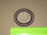 Сальник коленвала передній HYUNDAI / KIA SORENTO, CARNIVAL, MOHAVE, SONATA NF, OPIRUS Hyundai/Kia/Mobis 213523C700 (фото 2)