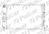 Радіатор охолодження Polcar 320608A4 (фото 1)