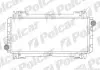 Радіатор охолодження Polcar 320808A1 (фото 1)