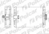 Радіатор обігріву Polcar 5025N81X (фото 1)