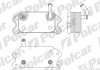 Радиаторы масла Polcar 9080L8-1 (фото 1)