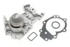 Помпа води Renault Clio 01-/Kangoo 01-/Twingo 1.2 16V 01- (B/B) (6 лоп) GRAF PA820 (фото 2)