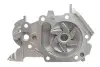 Помпа води Renault Clio 01-/Kangoo 01-/Twingo 1.2 16V 01- (B/B) (6 лоп) GRAF PA820 (фото 5)