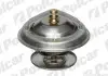 Термостаты Polcar U6M616P (фото 1)