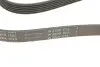 Ремінь генератора Opel Astra 1.7CDTI 04-10/ Subaru Outback 3.0-3.6 05-/ VW Passat 3.2 05- (6PK1623) INA FB6PK1623 (фото 4)