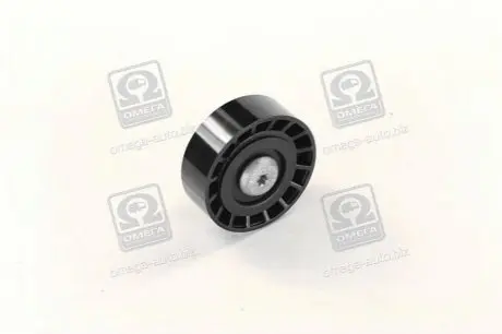 Ролик генер пар AccNEW 1.5TCI / гладкий/ Hyundai/Kia/Mobis 25287-2A010