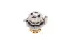 Комплект ГРМ + помпа Audi A4 00-08/A6 01-05/ VW Passat 2.0 01-05 (150x23)(помпа P545) HEPU PK05454 (фото 15)