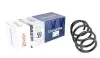 Пружина (передня) Fiat Ducato 2.0-3.0D 06- (Model 30 Q11/Model 33 Q15/Model 35 Q17L) Solgy 212029 (фото 1)