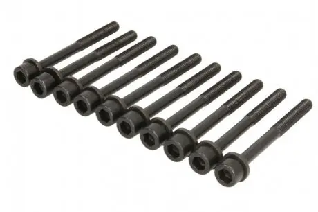 Болт головки блоку VICTOR REINZ 141001501