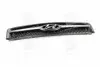 Решетка радиатора TUCSON 04-13 Hyundai/Kia/Mobis 863502E500 (фото 1)