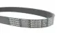 Ремінь генератора Seat Ibiza/Skoda Fabia/Rapid/Citigo/VW Polo/Up 1.0/1.6 14- (-AC) DAYCO 6PK701EE (фото 4)