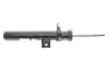 Амортизатор (передній) BMW X3 (F25)/X4 (F26) 10-18 (L) SACHS 314878 (фото 5)