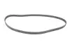 Комплект ГРМ Alfa Romeo 159/166/Brera/Spider 2.4D 05- (199x24) INA 530 0625 10 (фото 6)