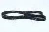 Ремінь ручейковий 6PK1515 Hyundai/Kia/Mobis 25212-27400 (фото 1)