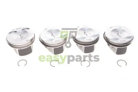 Поршень VW Golf VI/VII/Passat B8/Skoda Octavia III/Superb III 2.0 TSI 13- (STD) (к-кт 4шт.) BORSEHUNG B13574