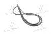 Уплотнитель стекла лобового Kia Carens 06- Hyundai/Kia/Mobis 861311D000 (фото 1)