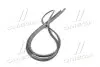 Уплотнитель стекла лобового Kia Carens 06- Hyundai/Kia/Mobis 861311D000 (фото 2)