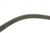 Комплект ременя генератора Citroen Jumpy/Peugeot Expert 2.0 HDi 09- (6PK1245) INA 529 0291 10 (фото 15)