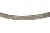 Комплект ременя генератора Citroen Jumpy/Peugeot Expert 2.0 HDi 09- (6PK1245) INA 529 0291 10 (фото 16)