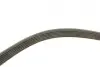 Комплект ременя генератора Citroen Jumpy/Peugeot Expert 2.0 HDi 09- (6PK1245) INA 529 0291 10 (фото 24)