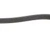 Ремінь генератора Audi Q5/Porsche Cayenne/Macan/Panamera/VW Touareg 1.0-5.4 94- Gates 6PK1178 (фото 3)