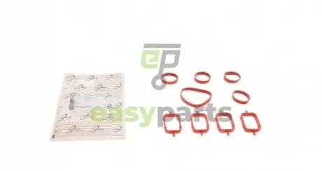 Комплект прокладок колектора впускного BMW 3 (E46) 318/320 d 00-07 TRUCKTEC 08.14.074