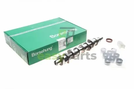 Розподільний вал VW 1.9TDI 03- (к-кт) (OE VAG) BORSEHUNG B18664