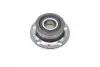 Підшипник маточини (задня) Skoda Rapid/Roomster 07- FAG 713611020 (фото 1)