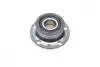 Підшипник маточини (задня) Skoda Rapid/Roomster 07- FAG 713611020 (фото 10)
