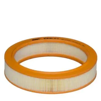 (ЖЕРЕБЕЦ) HENGST FILTER E89L01