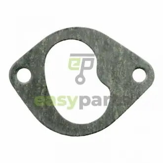 FEBI BMW прокладка впускного колектора 5/6/7 серія (6шт. на авто) -95 FEBI BILSTEIN 12315