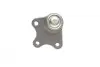Опора кульова (передня/знизу/L) Skoda Fabia/VW Polo 1.2/1.9TDI 99-15 BORSEHUNG B11338 (фото 3)