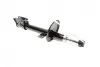 Фото 1 - амортизатор (задній) Renault Duster 1.5dCi 10- (4X4) (Газ) Solgy 211157 Амортизатор (задній) Renault Duster 1.5dCi 10- (4X4) (Газ) Solgy 211157 (фото 1)