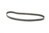 Комплект ГРМ + помпа Renault Megane/Scenic/Grand Scenic 1.9 dCi 09- (133x26) INA 530 0579 30 (фото 11)