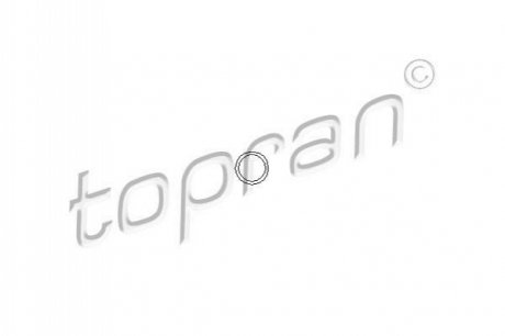 Кольцо уплотняющее TOPRAN / HANS PRIES 206529 (фото 1)
