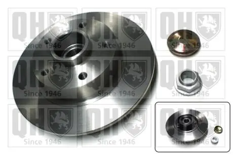 Гальмiвнi диски з пiдшипником Renault Megane III/Scenic III 08- QUINTON HAZELL BDC5841